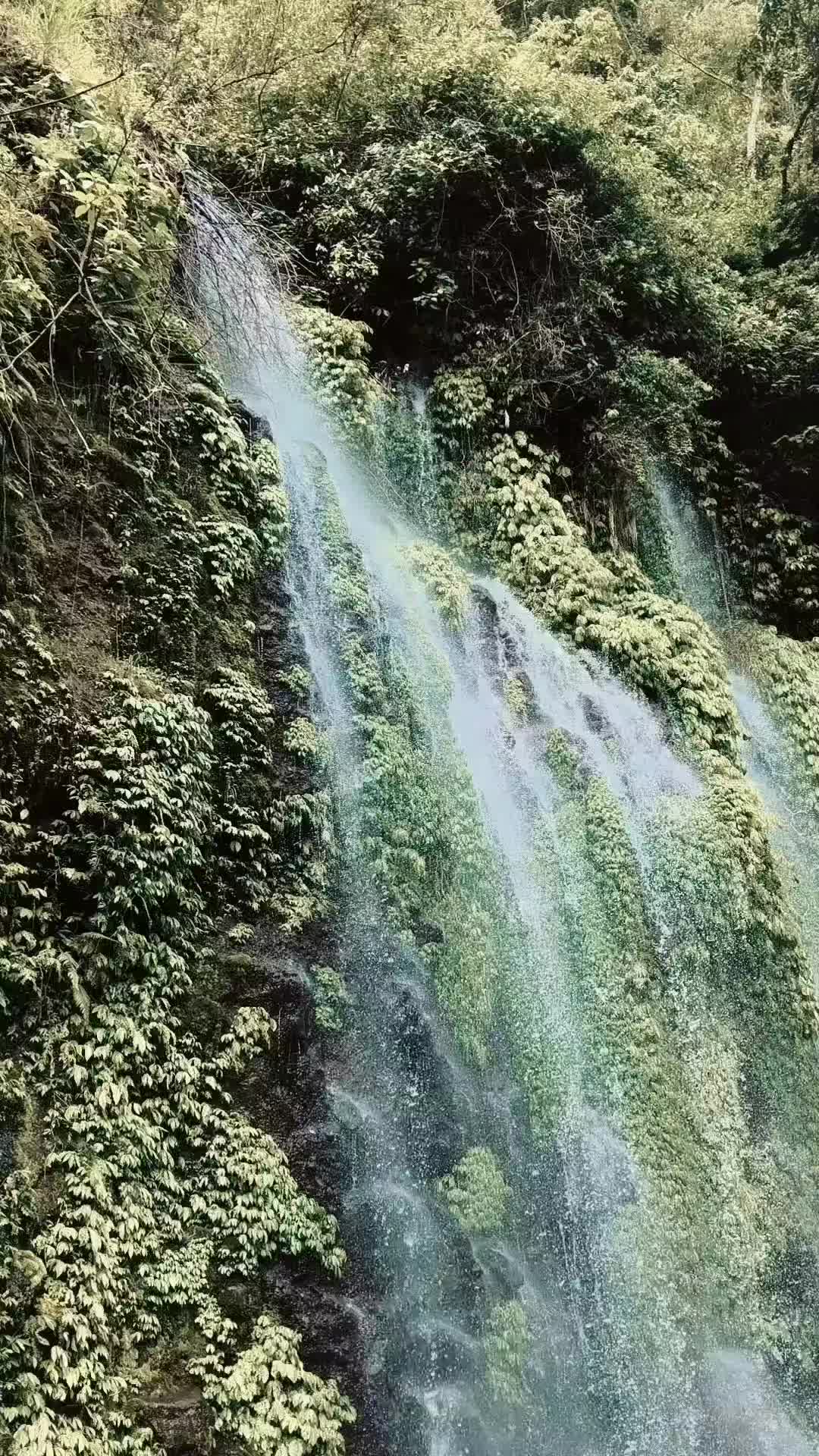 @2424lalunasangre