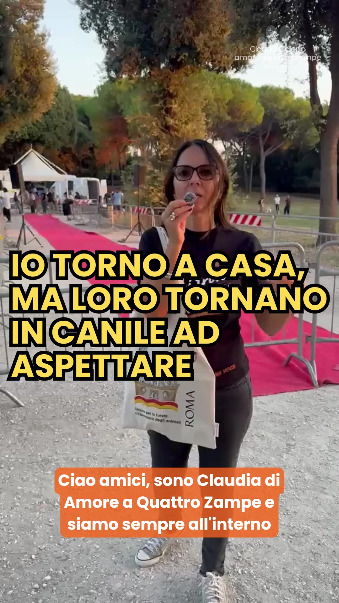 @Amoreaquattrozampe.it