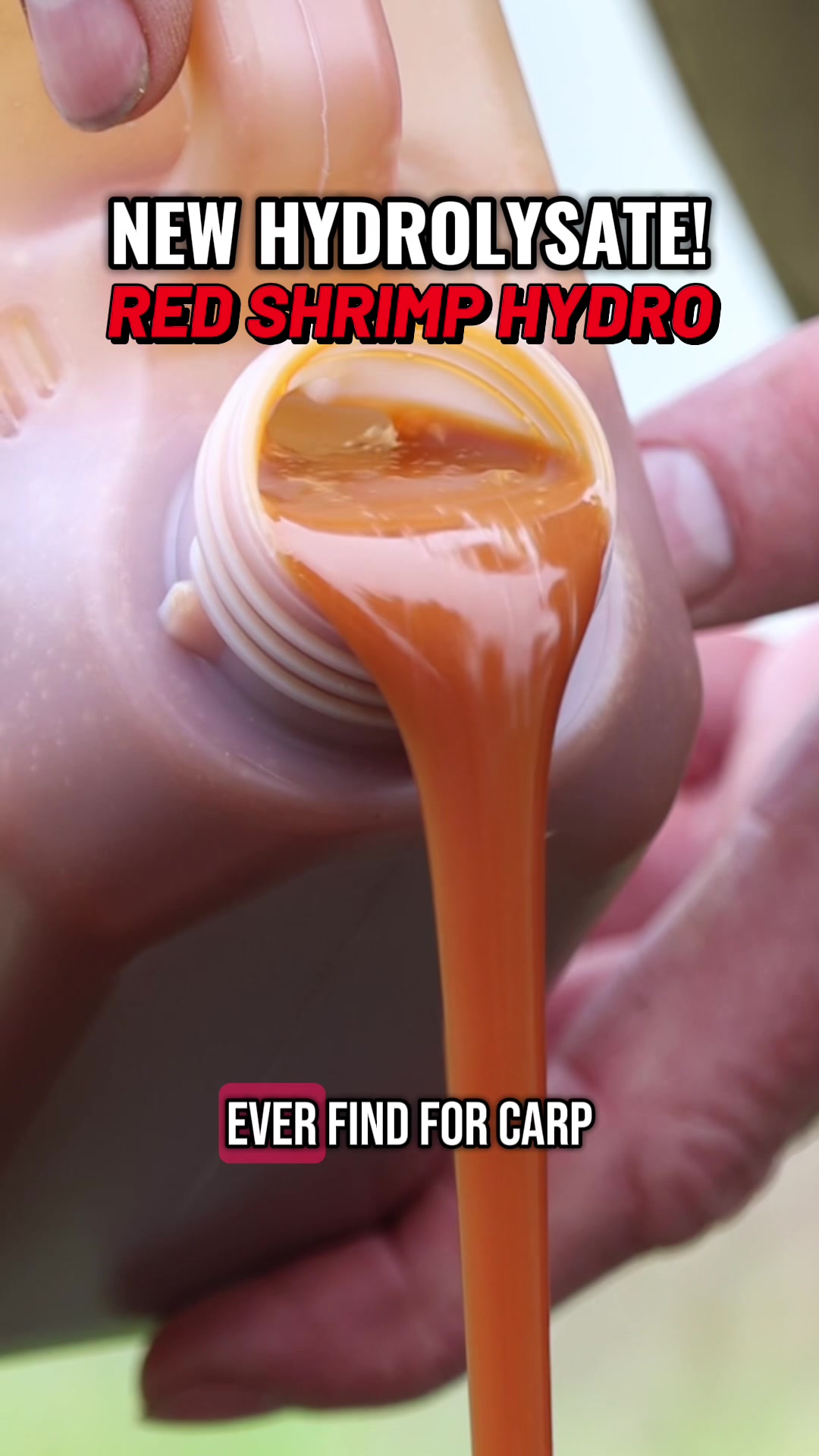 @CarpAddict