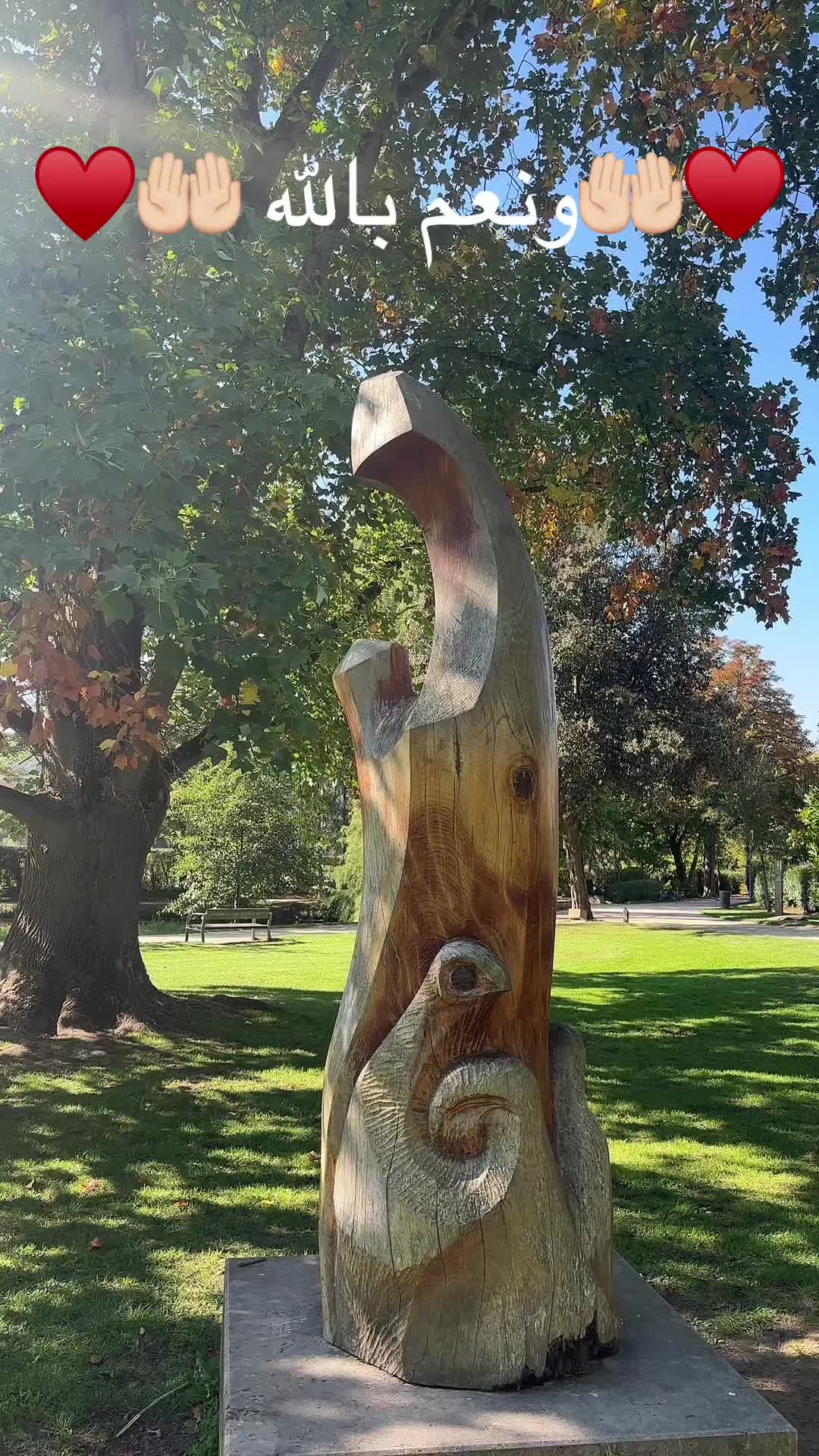 @Hajar Ck🇫🇷🇲🇦