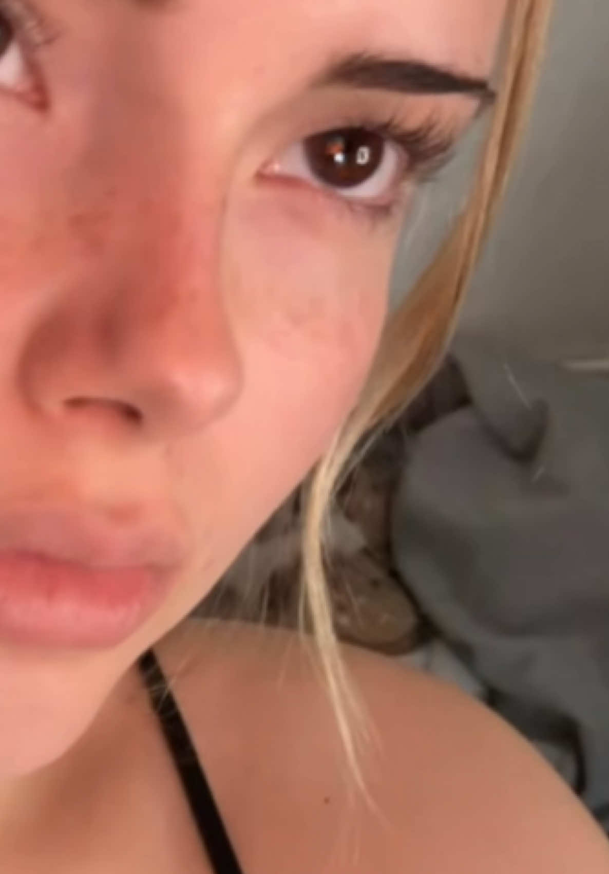 @lunavoid