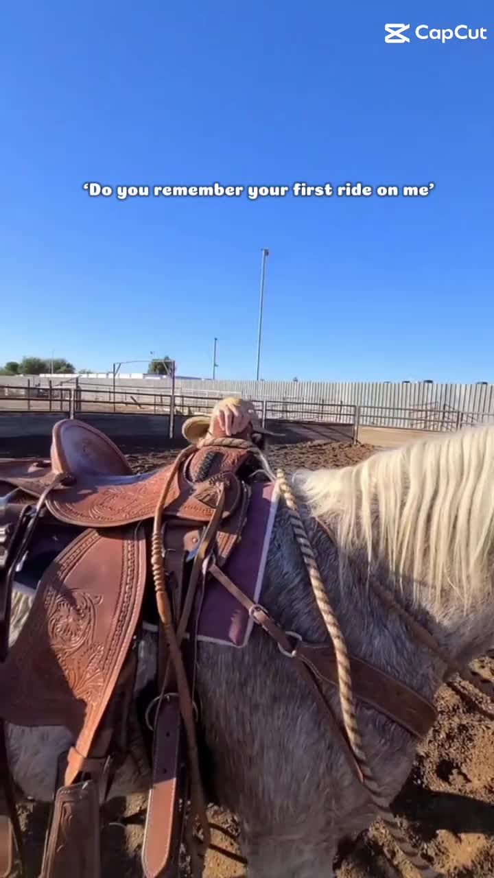 @VMD Performance Horses