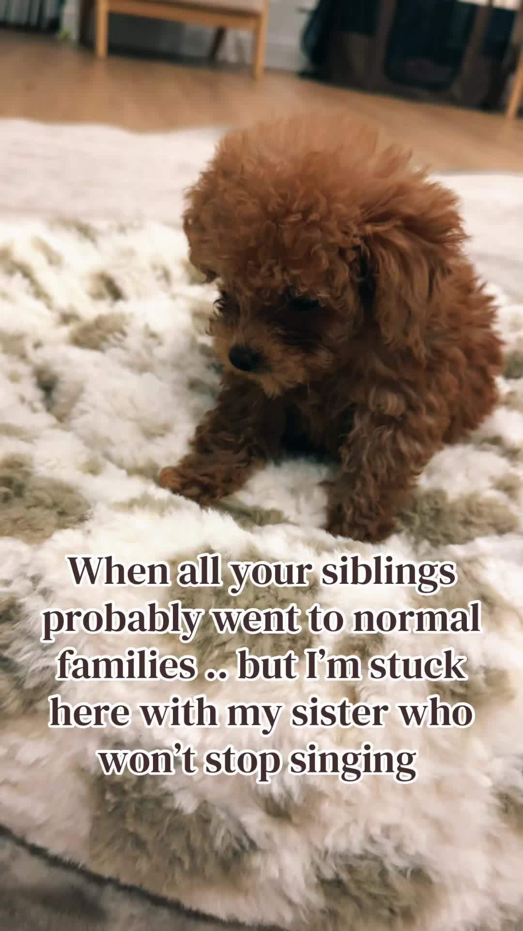 @Hazel Raine 🐾