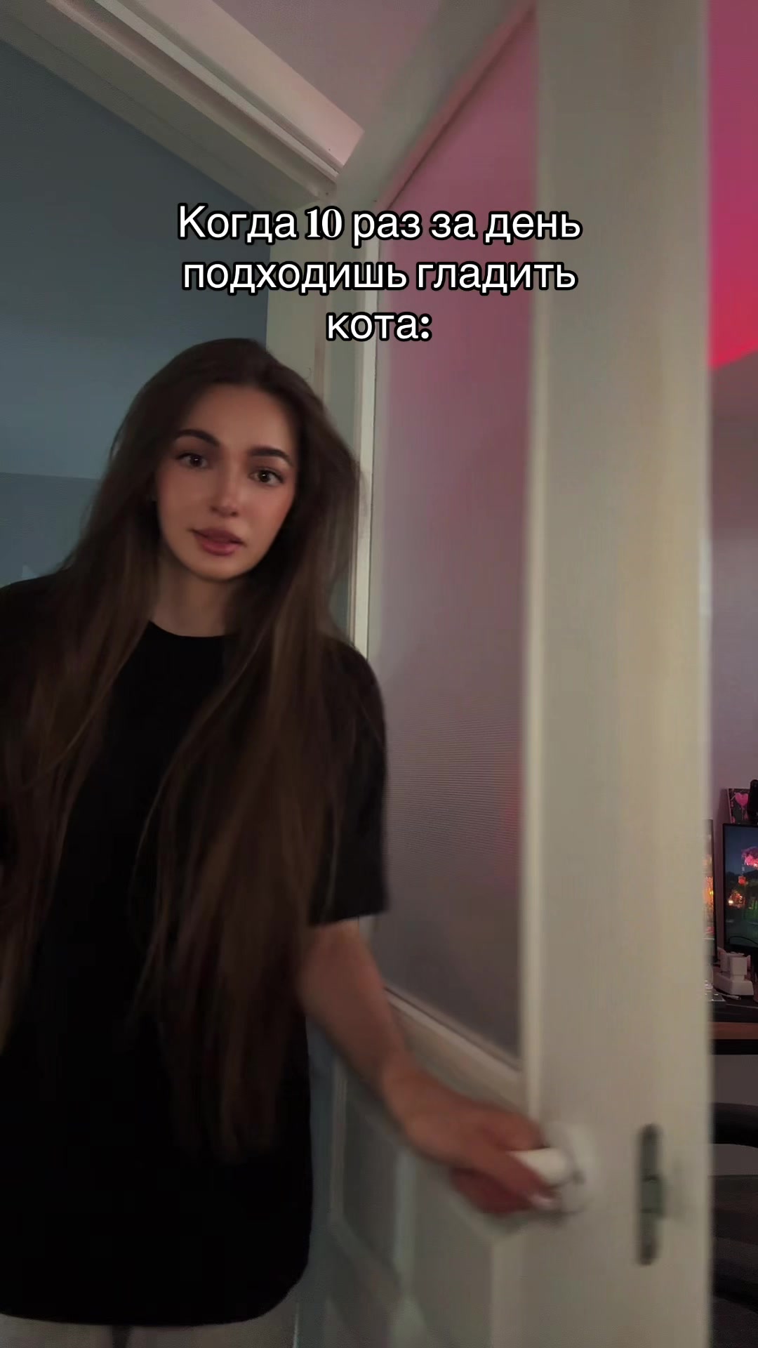 @dankoka