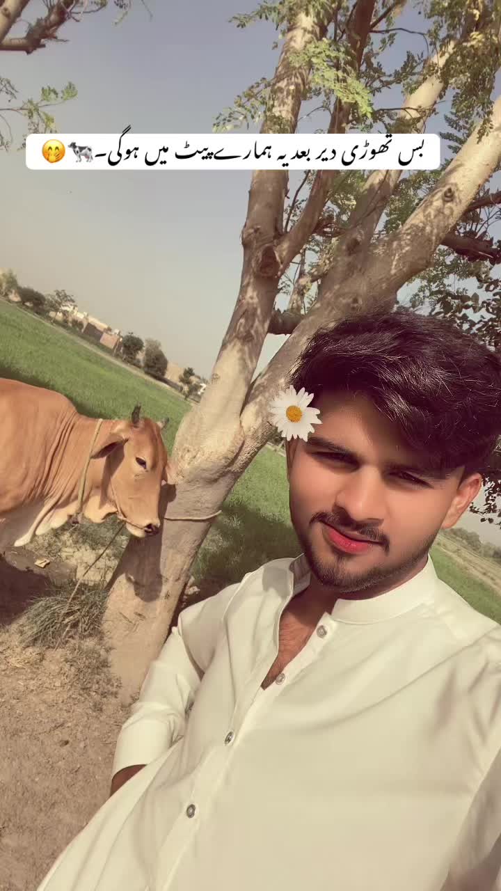 @دانی۰❤️🩹