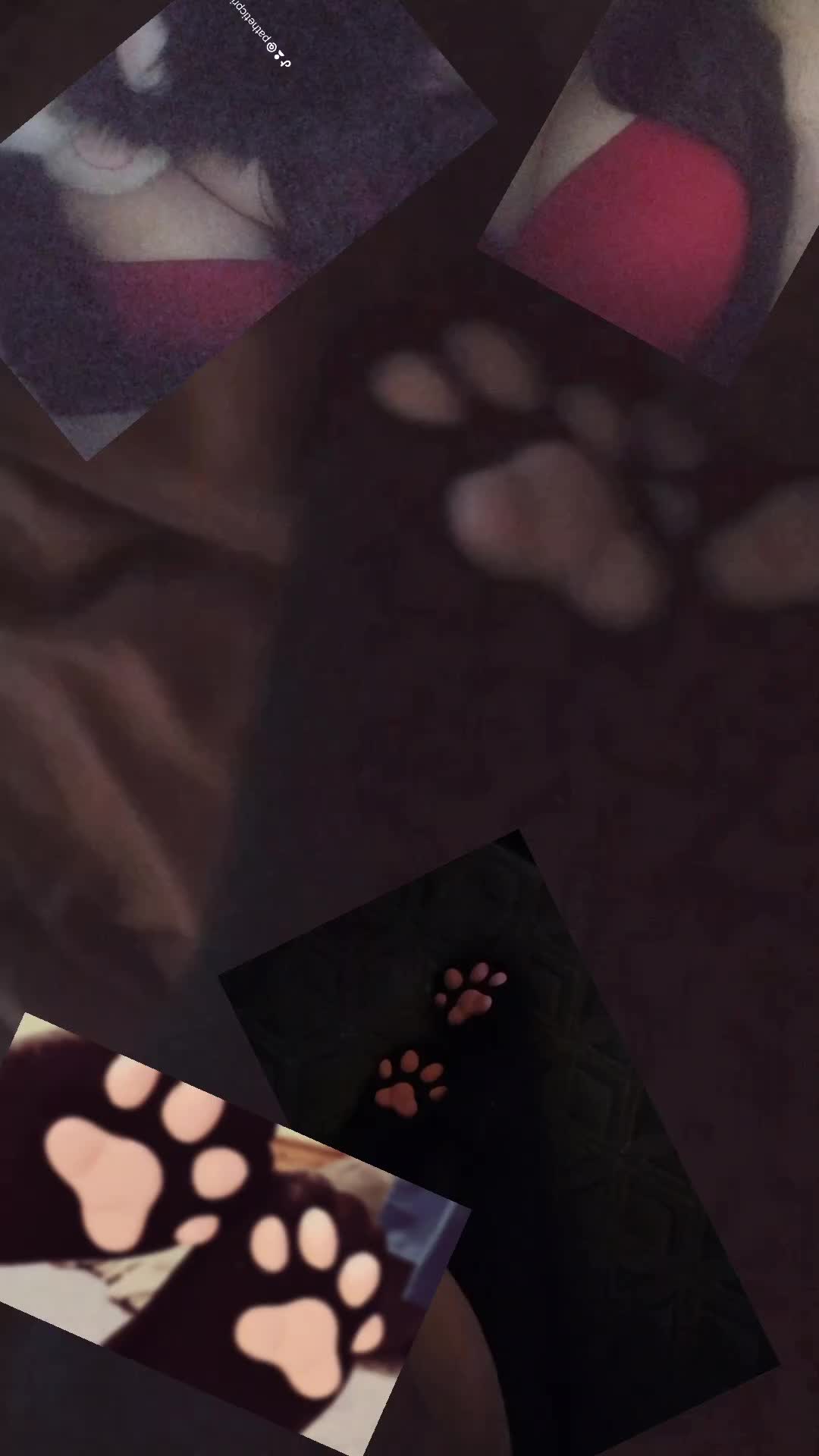 @𝘭𝘪𝘵𝘵𝘭𝘦𝘬𝘪𝘵𝘵𝘺