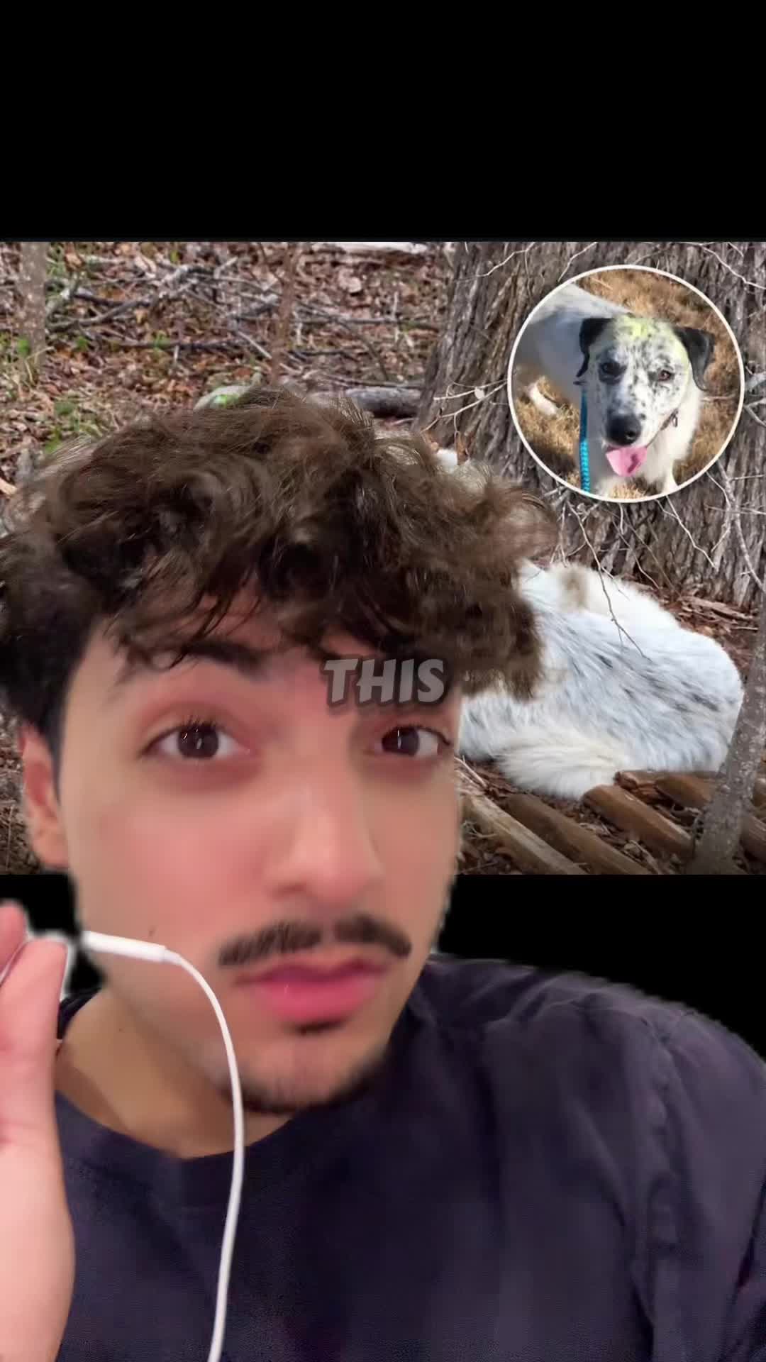 @Sbladn