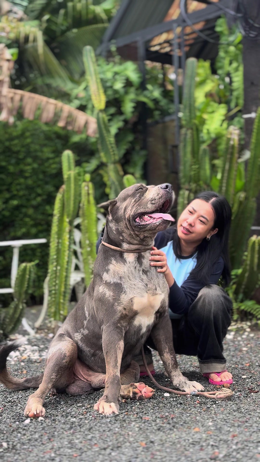 @คุณนู๋ตู่ แม่ของสมศรี 🐶