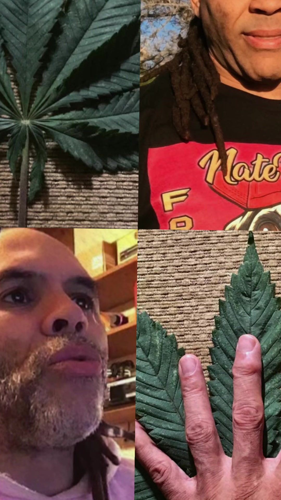 @The Massholez