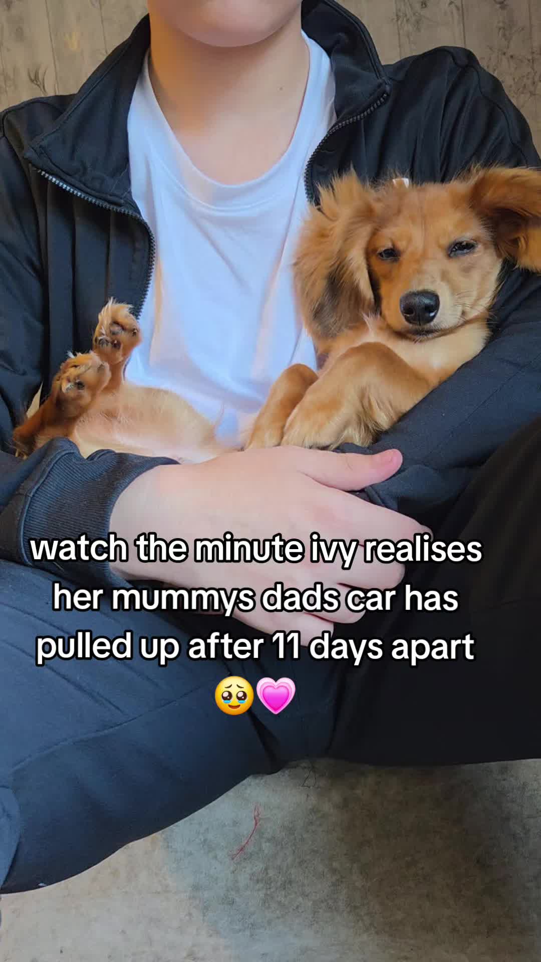 @kirsty+starlight the xl bully