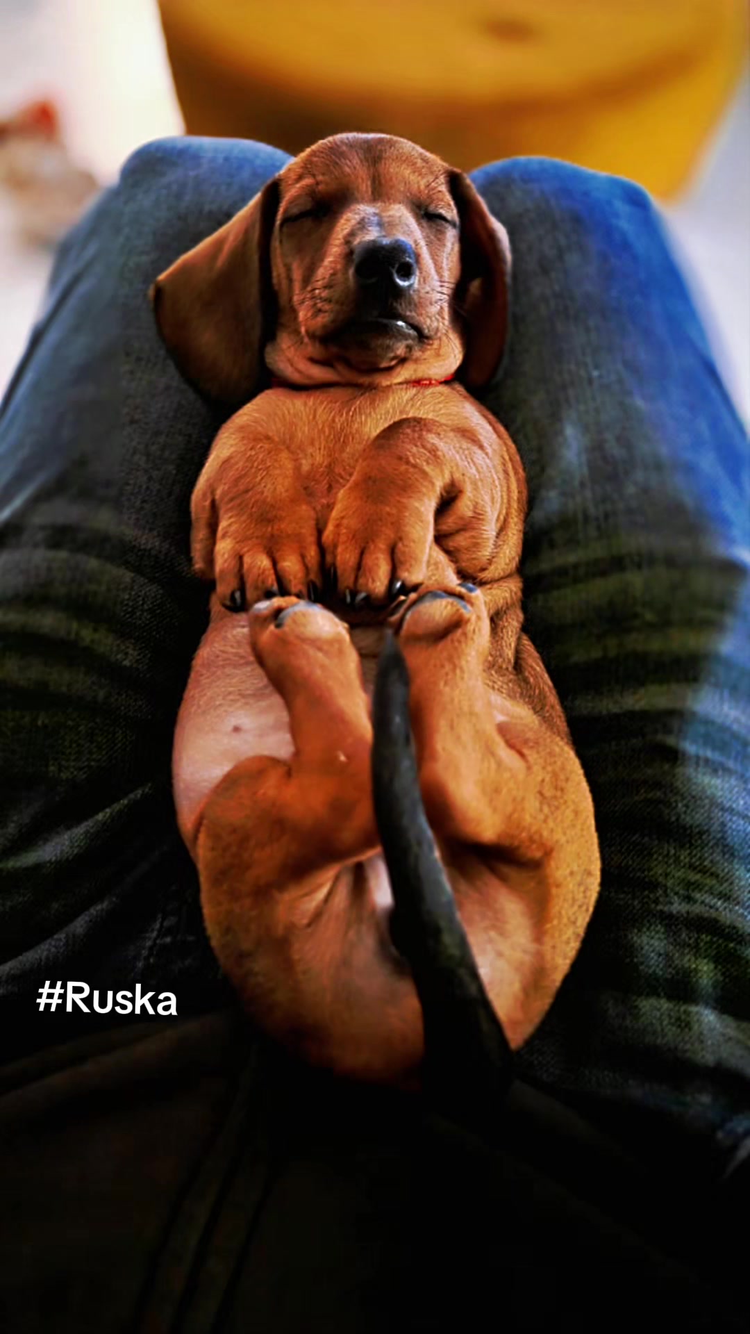 @Sähkömasentaja