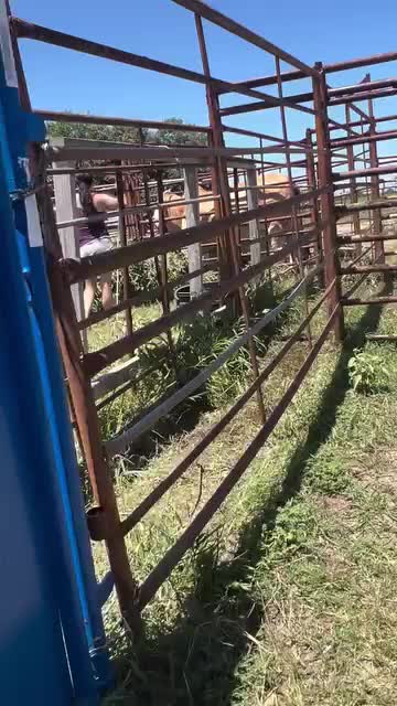 @The V6 Ranch