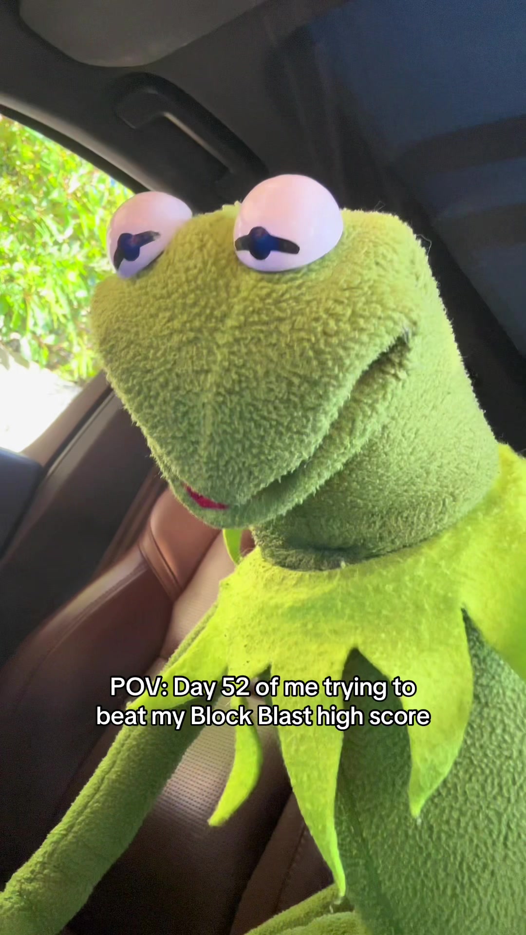 @🐸 Crashout Kermy 🐸