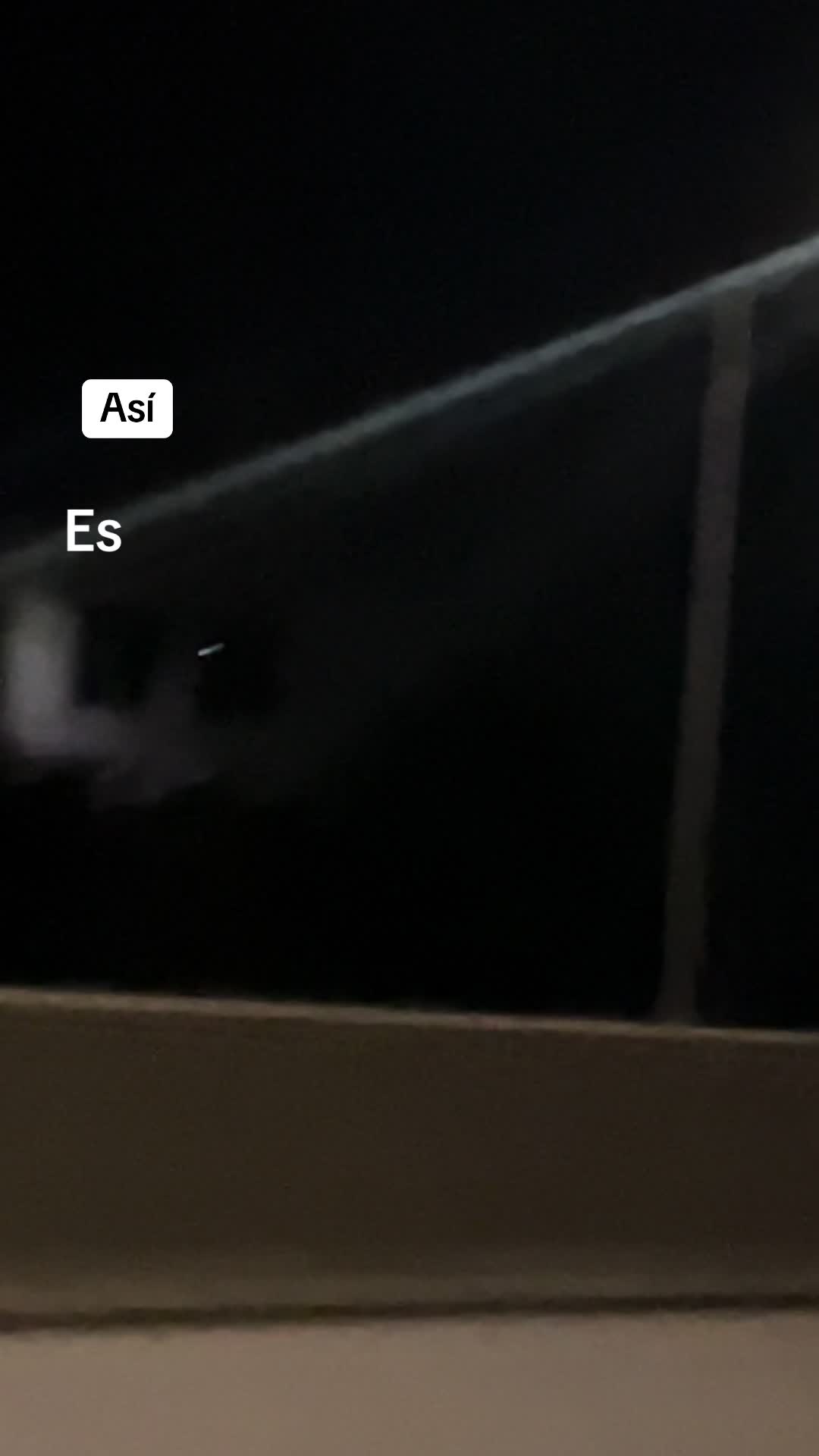 @Antonia Contreras