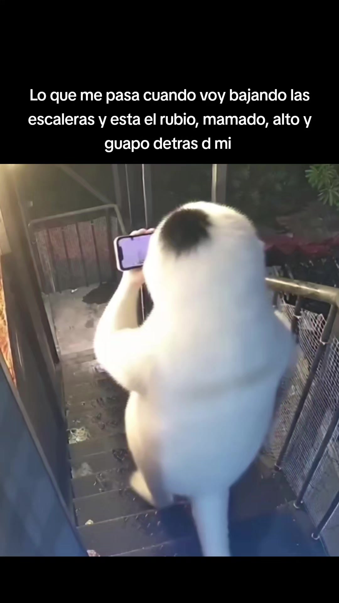 @Mady