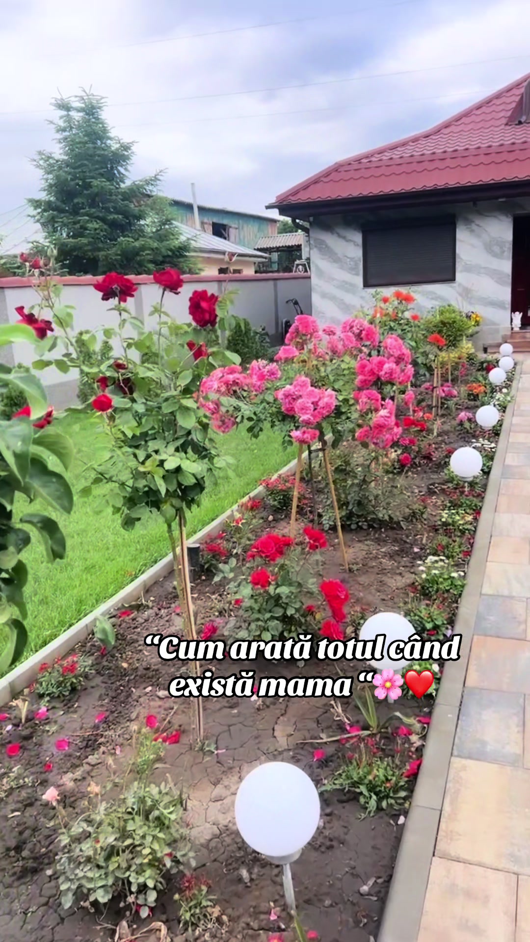 @Cristina Georgiana