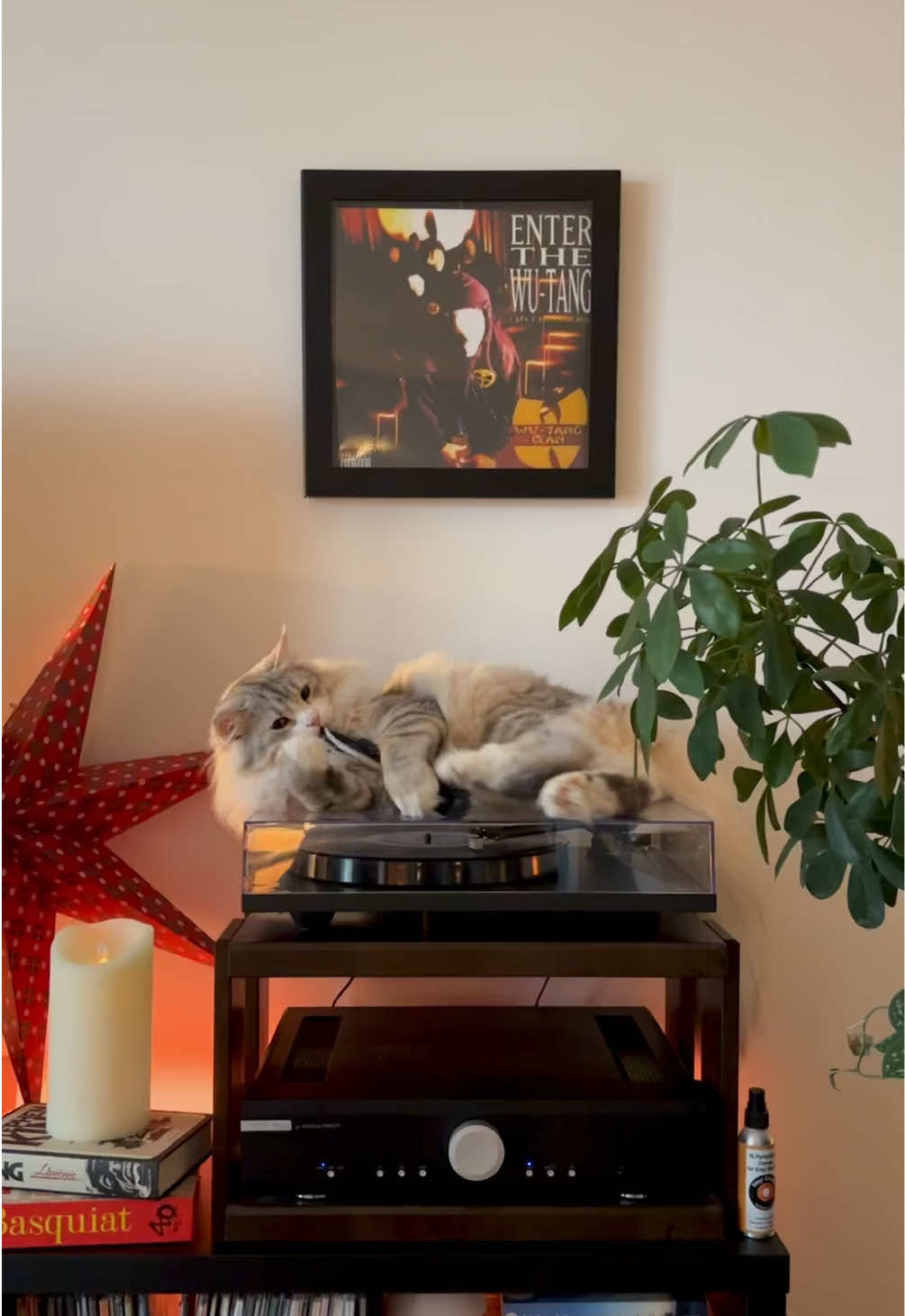@Leon The Vinyl Cat
