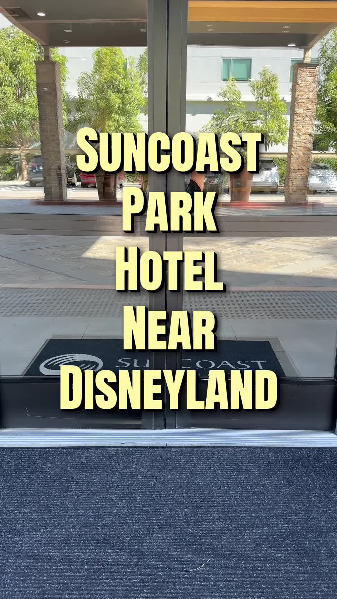 @chasing_pixies- Disney Travel