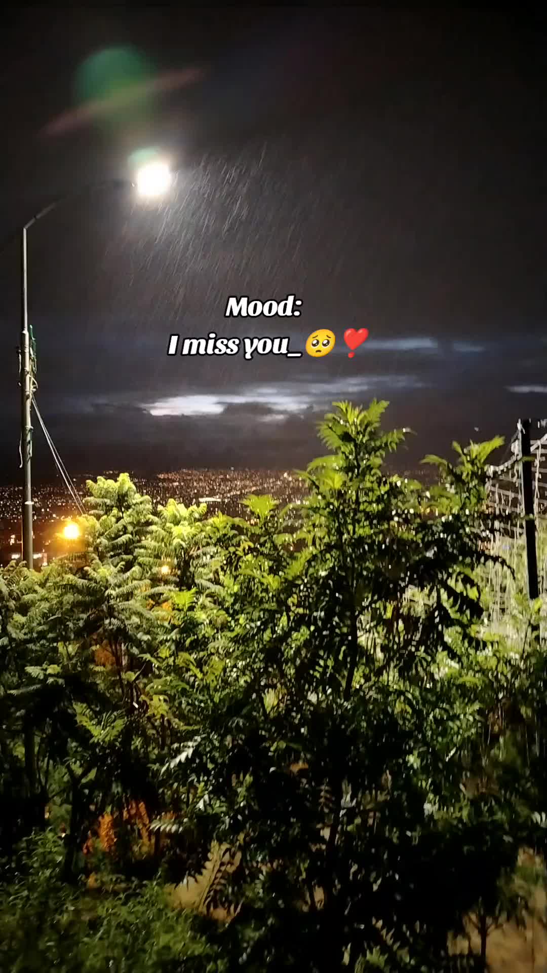 @zaytt_