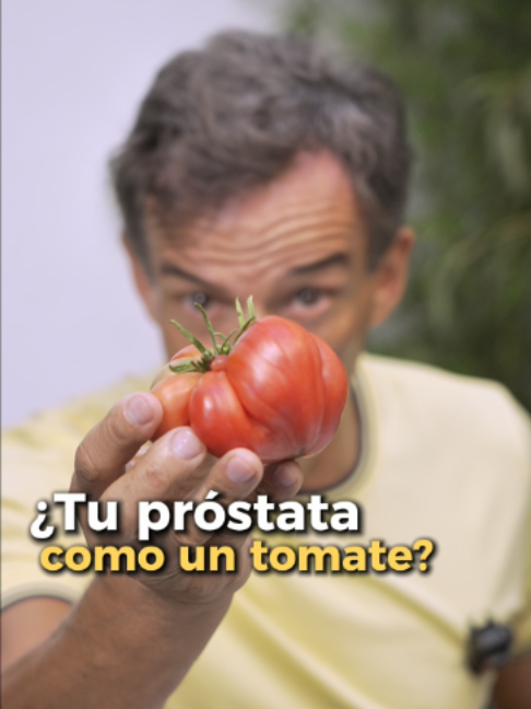 @PITI PINSACH