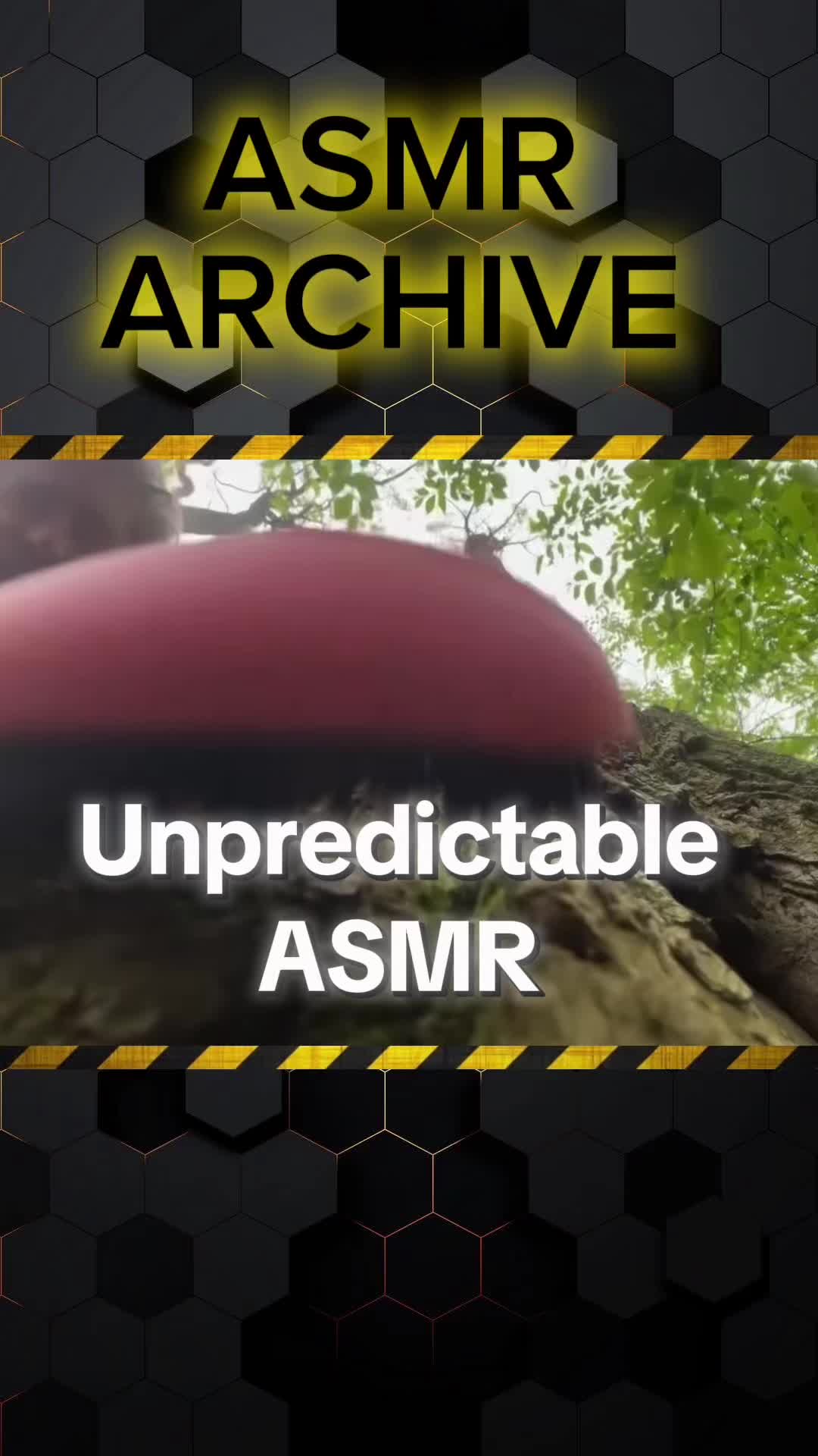 @Asmr Archive