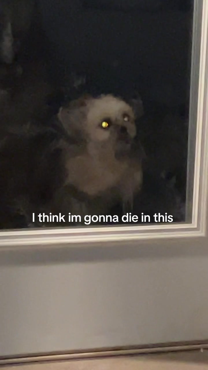 @Kruiz