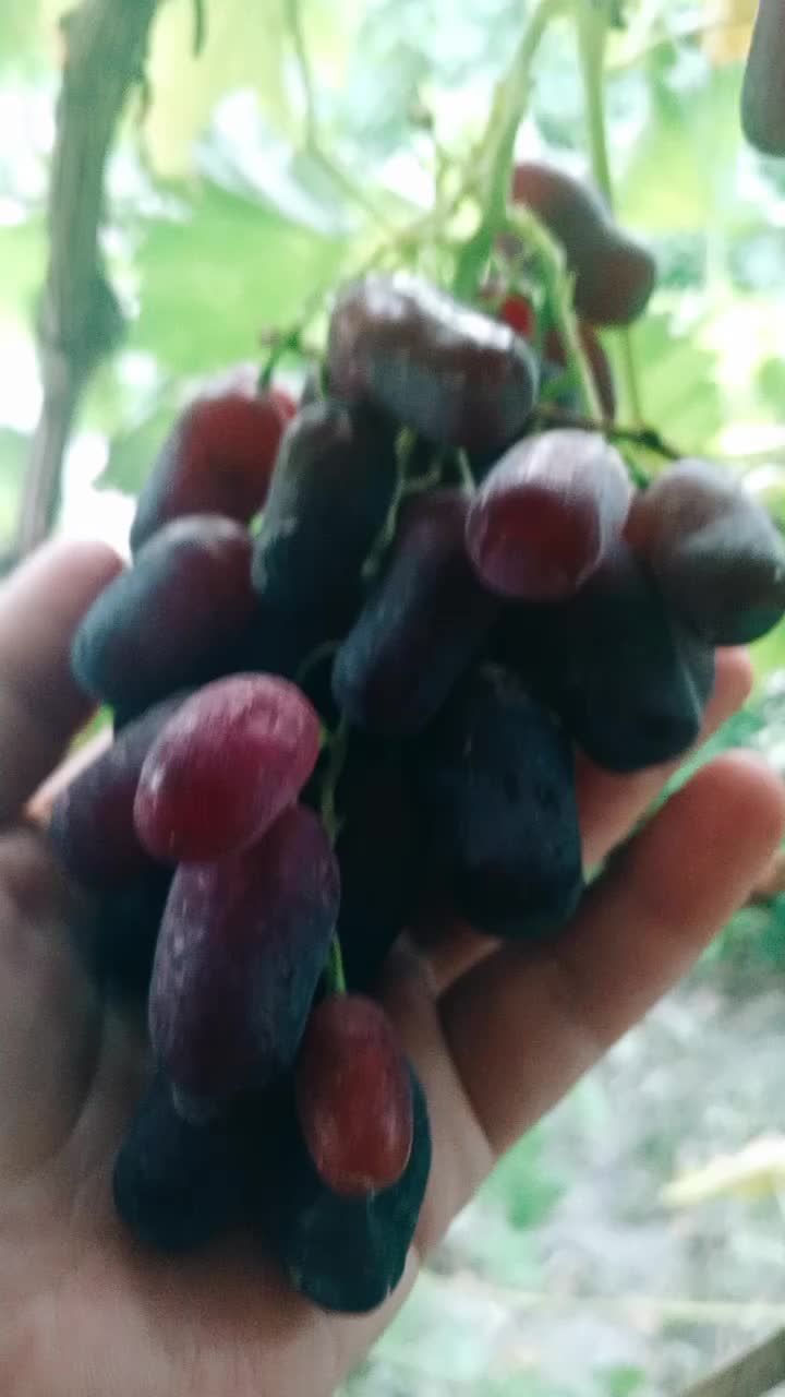 @gri_gõzlũm🩶