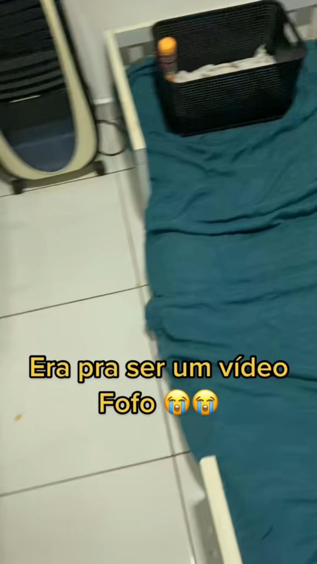 @Alessandra Tavares