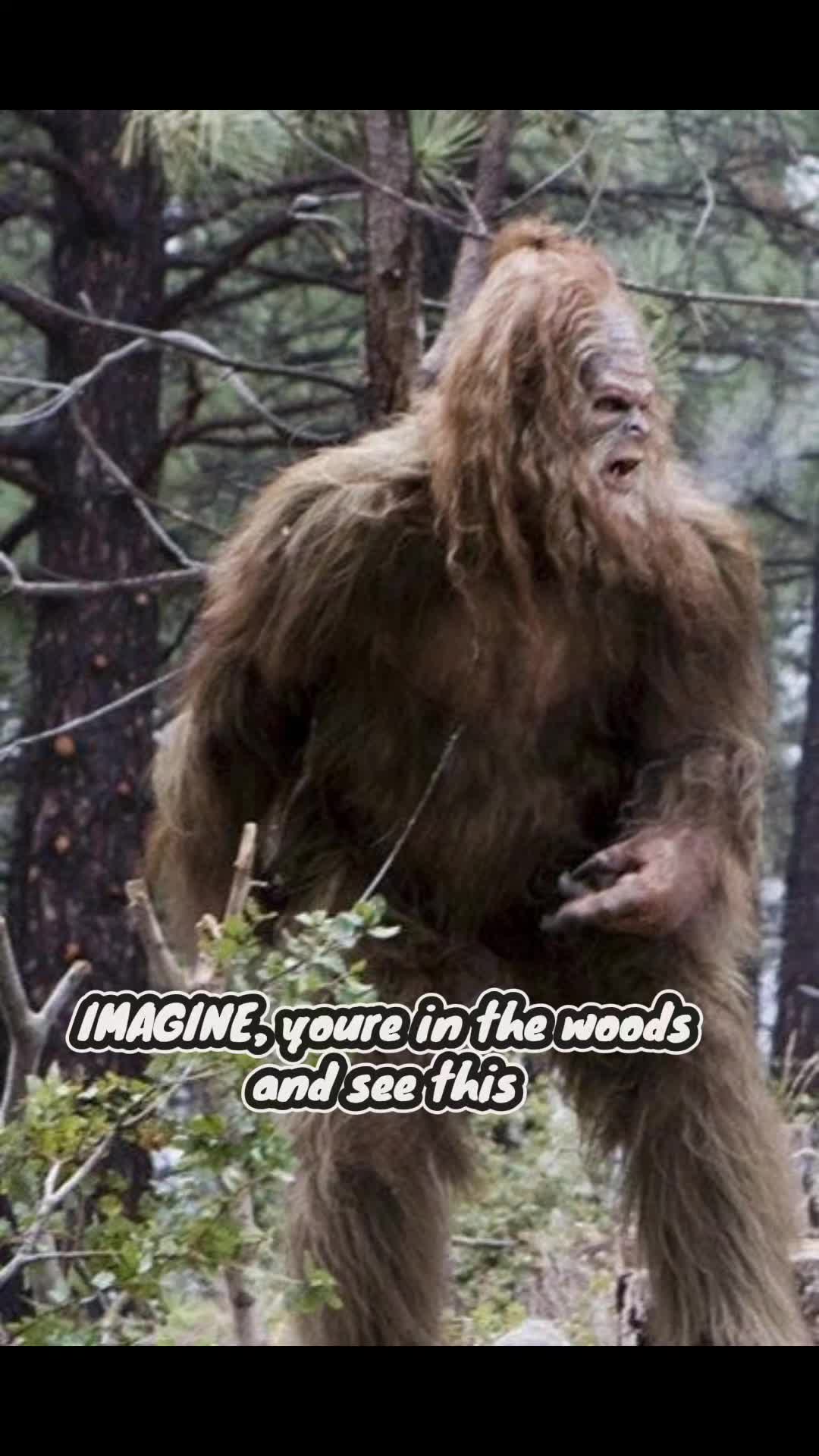@Kayla🐊