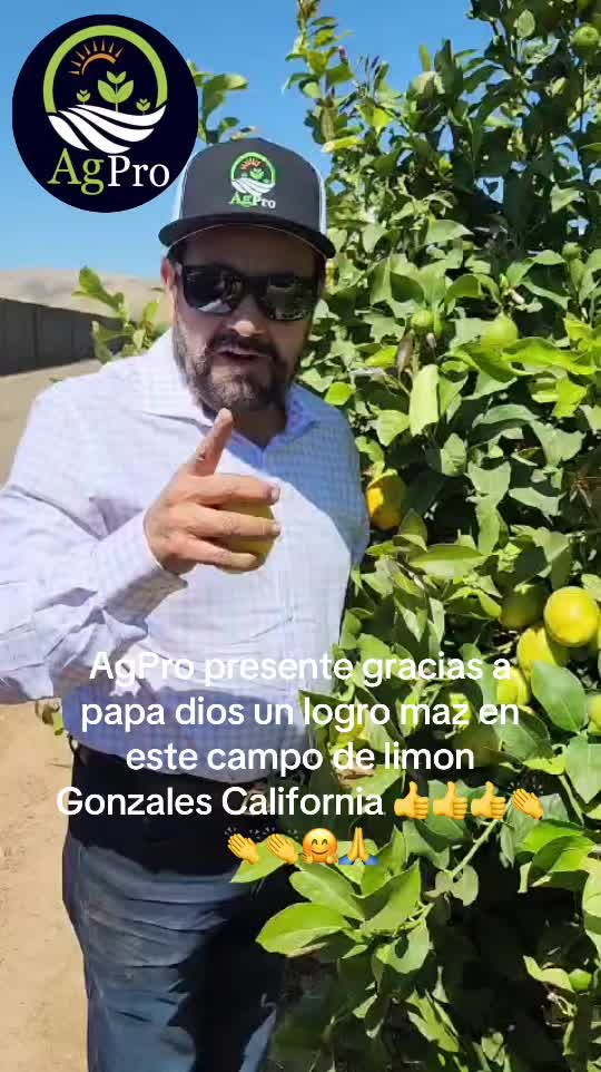 @Piedad Ayala