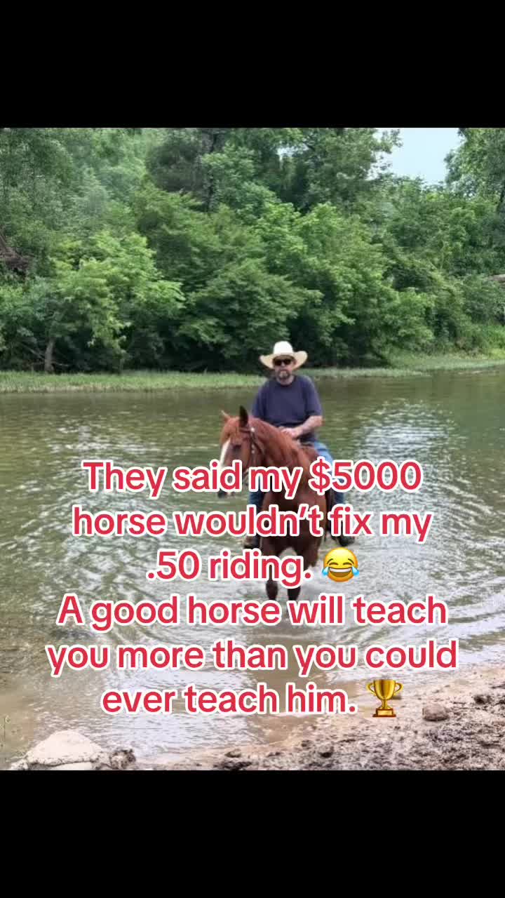 @David Rogers