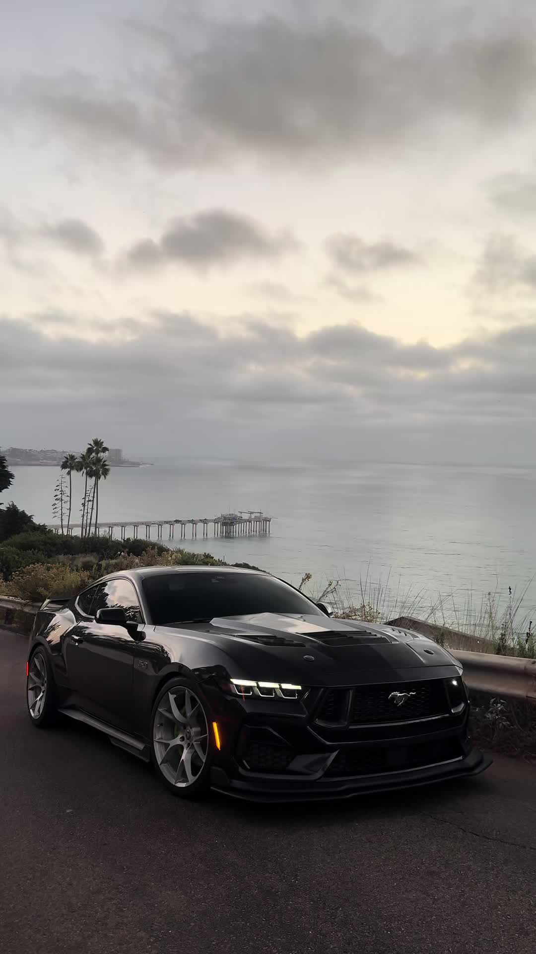 @alt_pony
