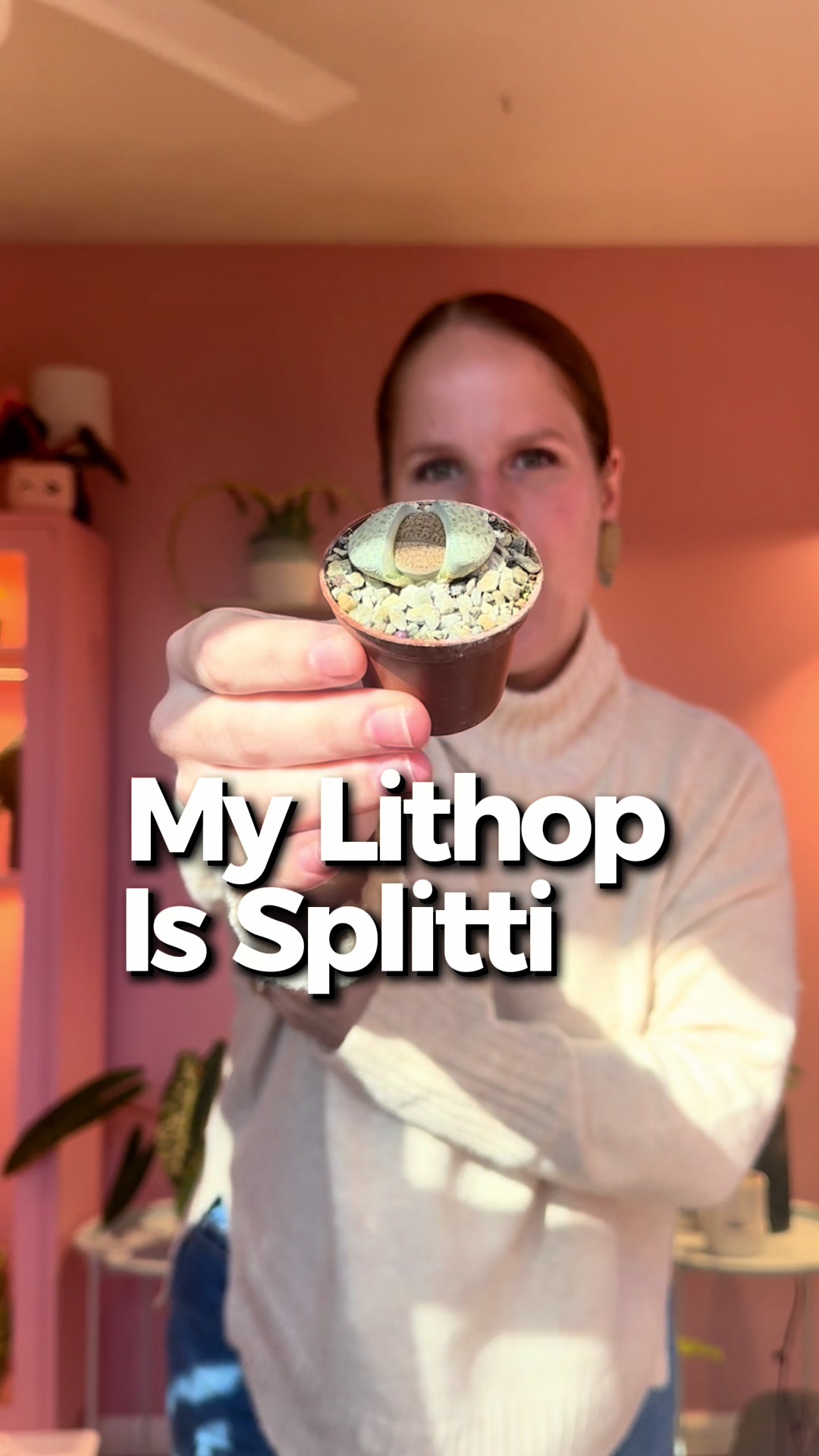 @midwestplantgal