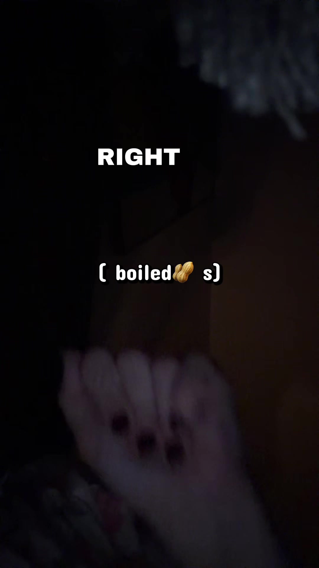 @dailyd0seofmk