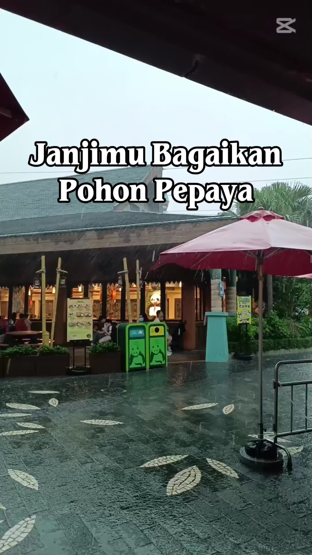 @Dewi Chan