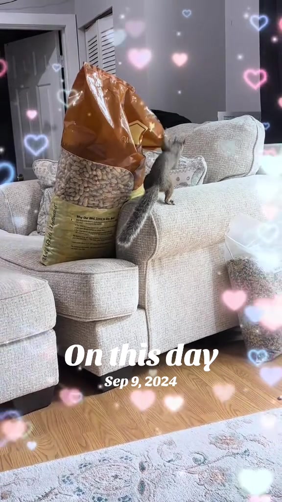 @cherrykoolade (Mia)