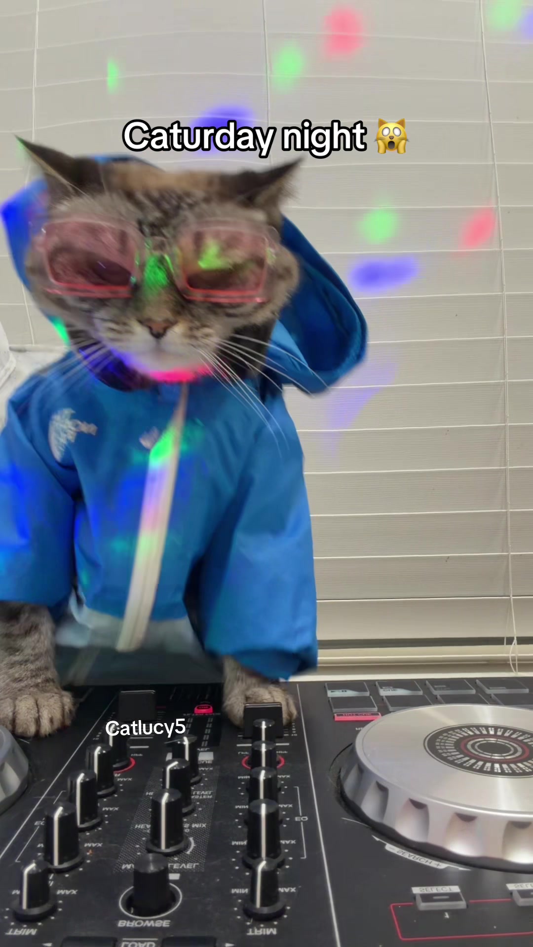 @Cat Lucy