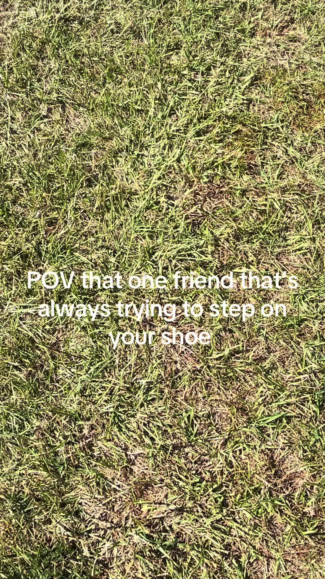 @Chief