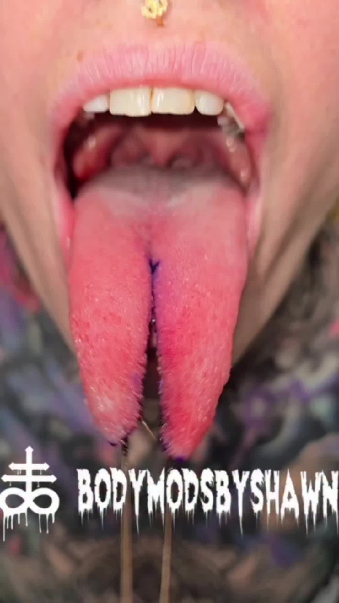 @BodymodsbyShawn