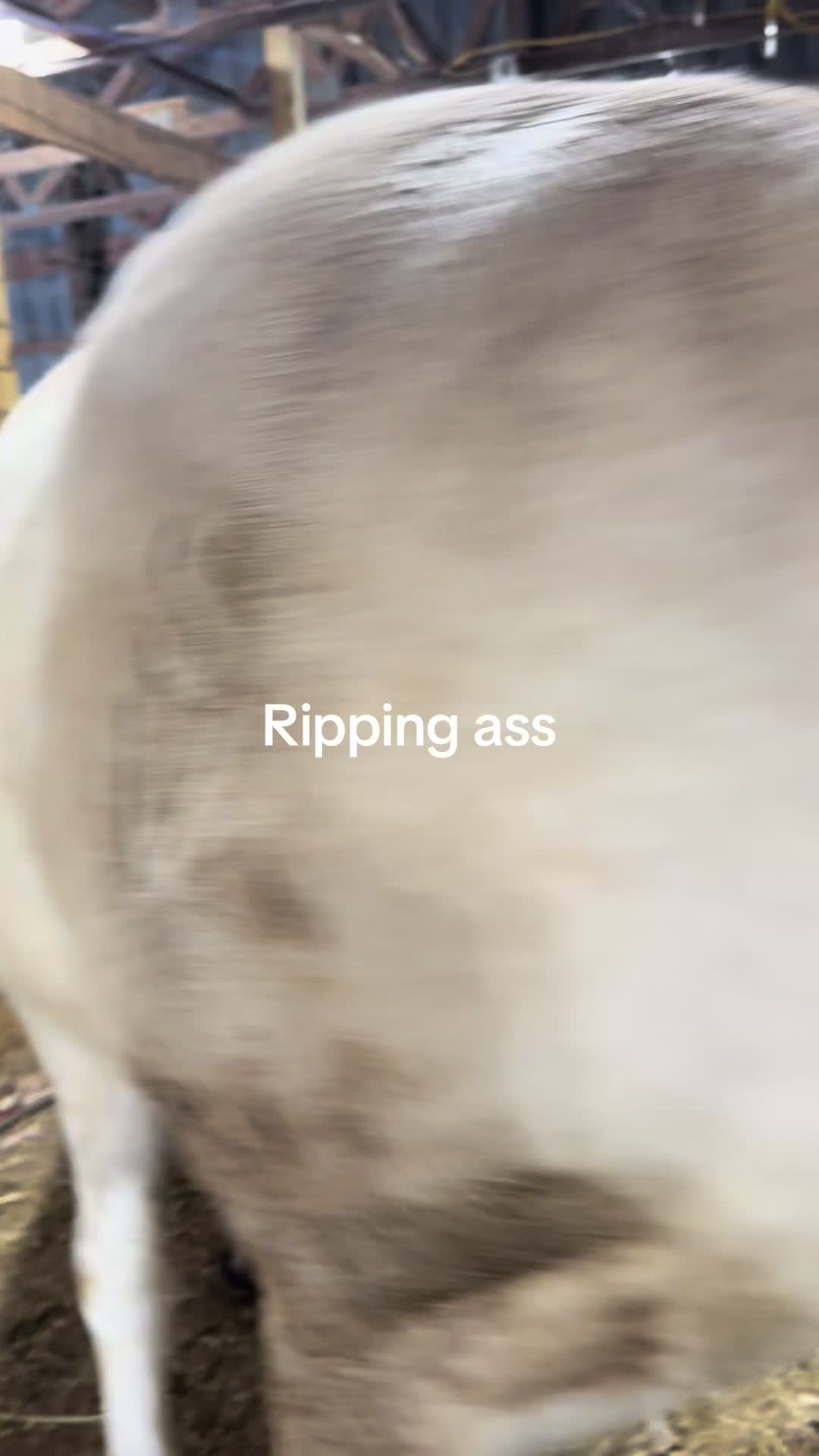 @kim Walsh