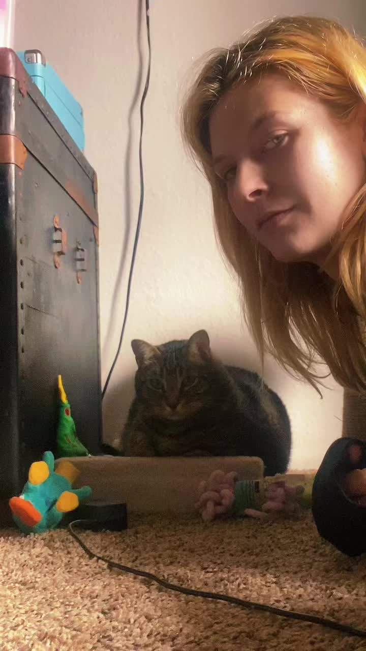 @🌼