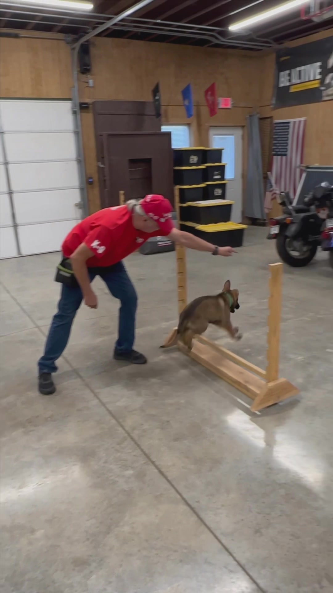 @Protection Dog Sales