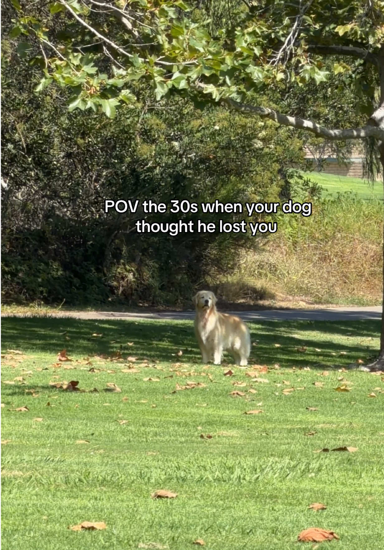 @Maui, Ruby +Hugo
