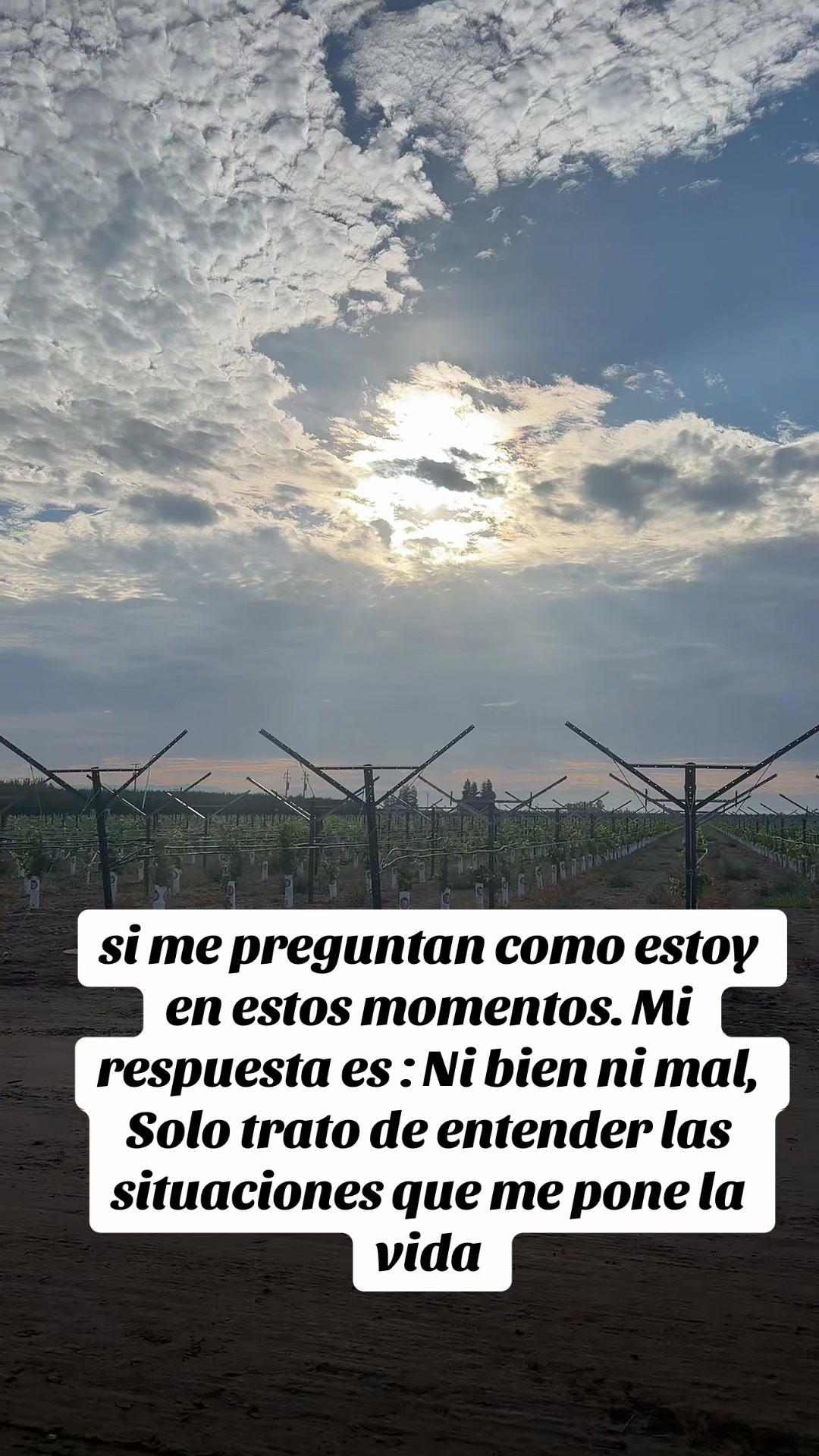 @PABLO PINEDA