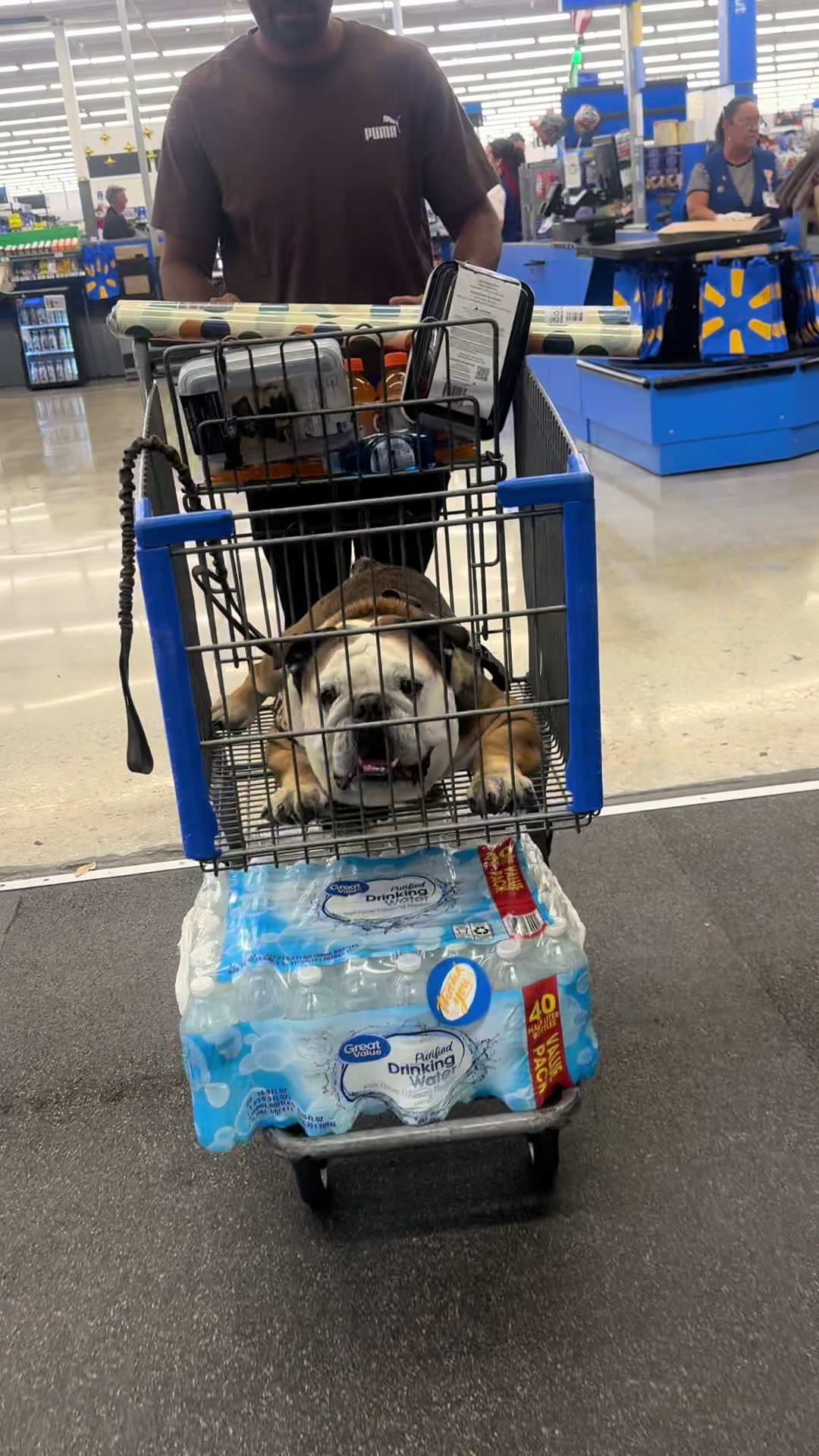 @Taco 🐶🧿