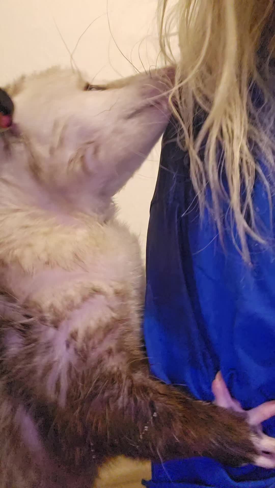 @OPOSSUMDAWGMOM