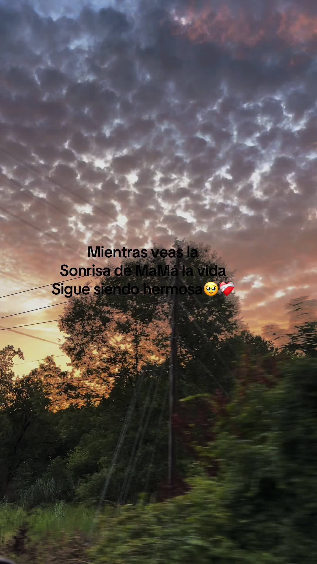 @hernandez_.eym_