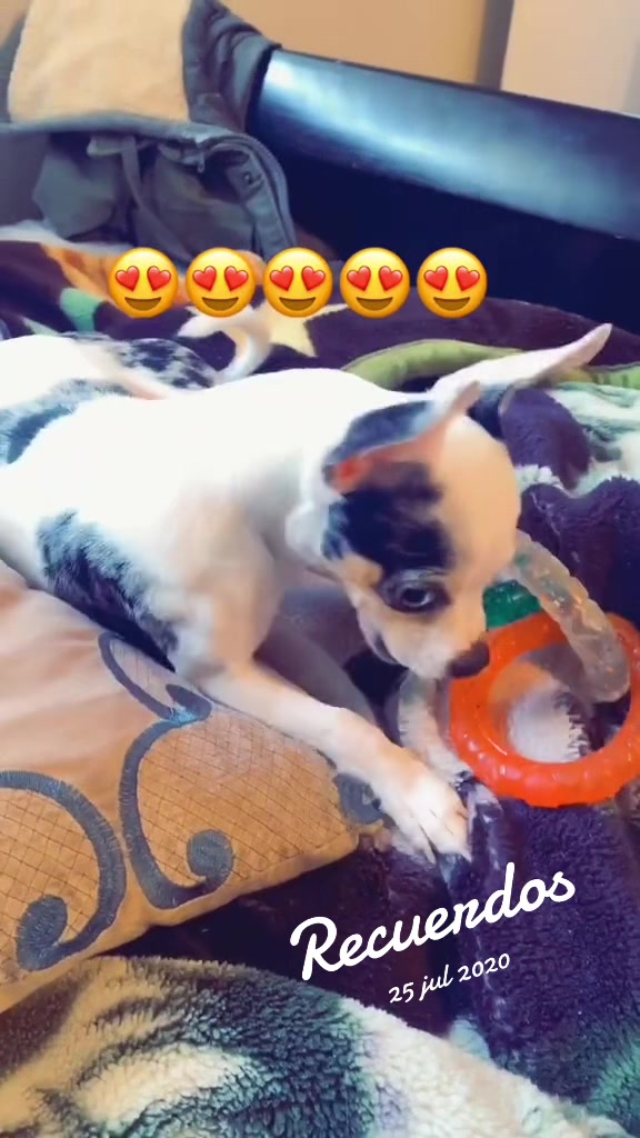@SandritaSM ❤️