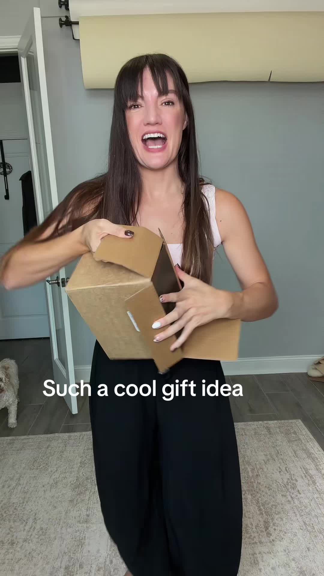 @mjvanicek