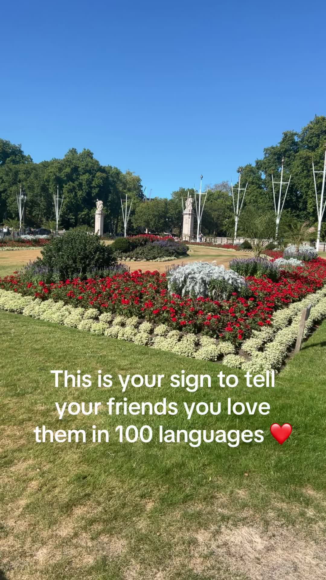 @Sophhhhhꨄ